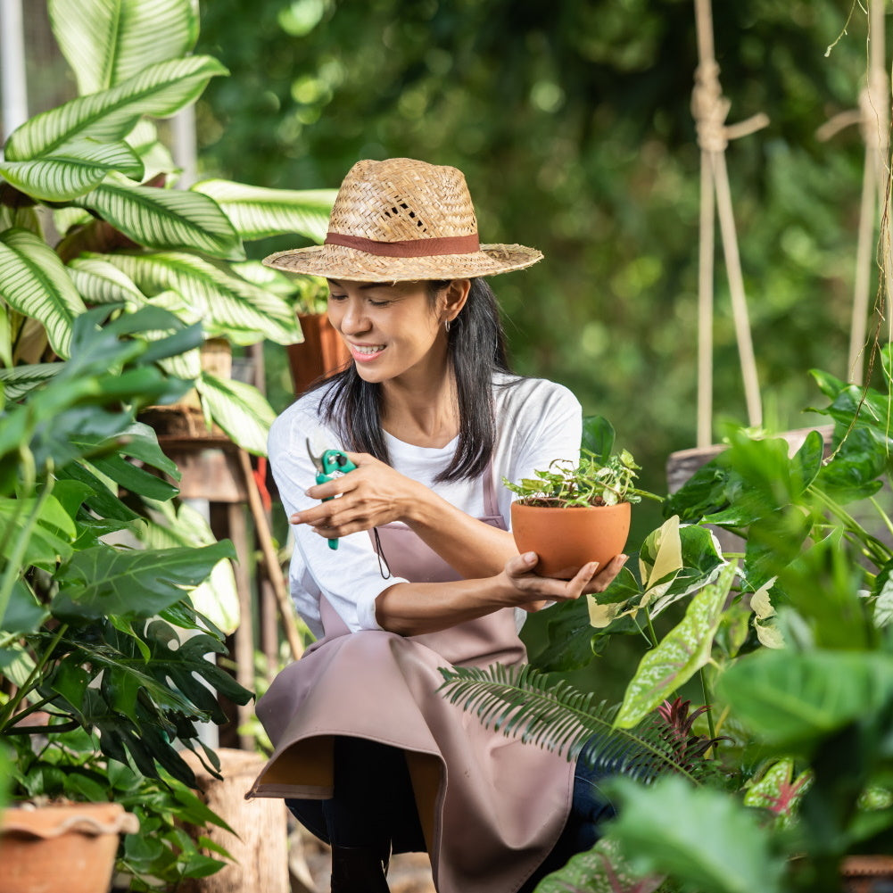 Für den grünen Daumen