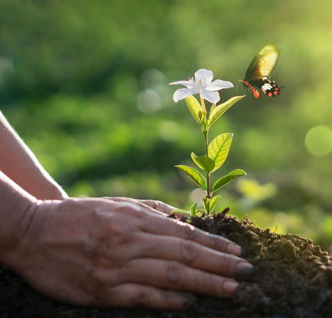 Effektive Mikroorganismen