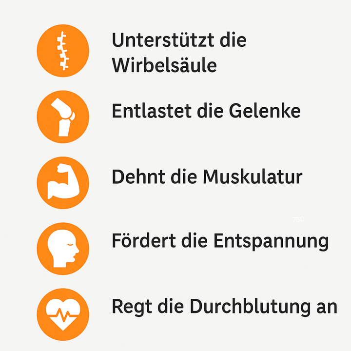 Spintrac Rücken- & Gelenktrainer - ganzheitl. Therapiesystem
