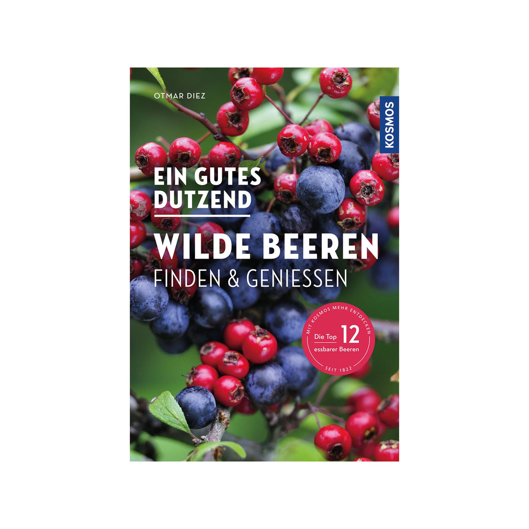 Ein gutes Dutzend wilde Beeren finden & genießen - ENKI Institut