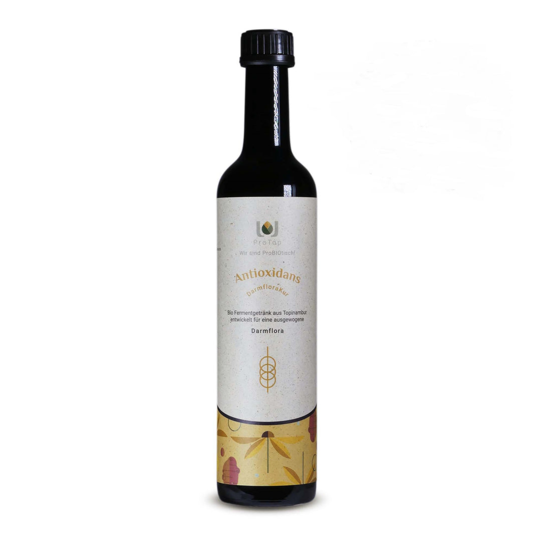 Antioxidans - Darmflora, ProTop, BIO (500 ml) - ENKI Institut