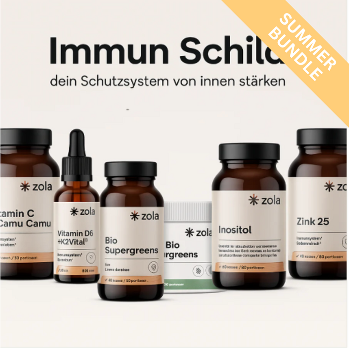 Immunschild - Dein Schutzsystem von innen stärken