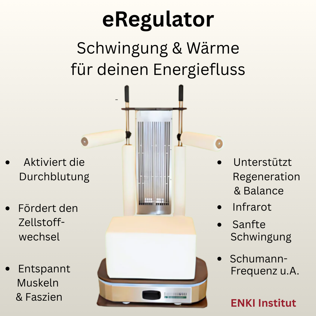 eRegulator Anwendung - Schwingung & Tiefenwärme