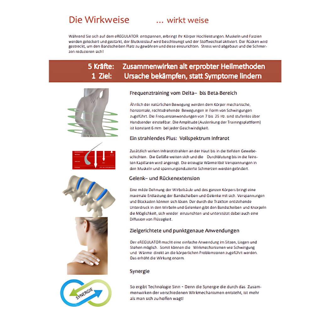 ENKI Institut, eRegulator Frequenztrainer, die Wirkweise, Schaubild