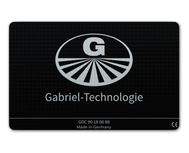 Gabriel-Chip 'Fahrzeug-Batterie' - ENKI Institut
